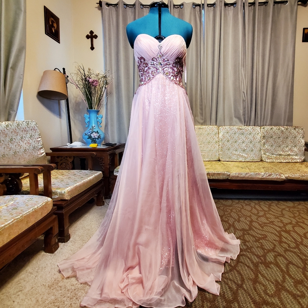 NWT Royal Queen Collection Pink Blush Gown